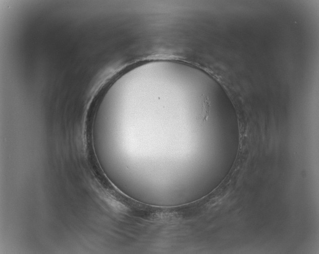 X0000062600296200512281405