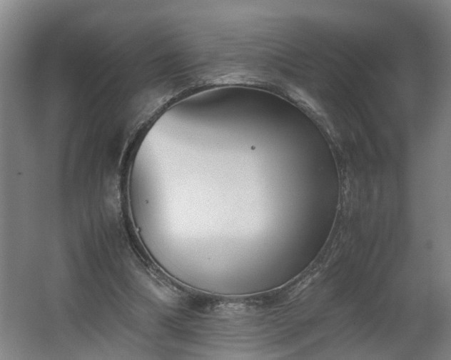 X0000062600298200512281405