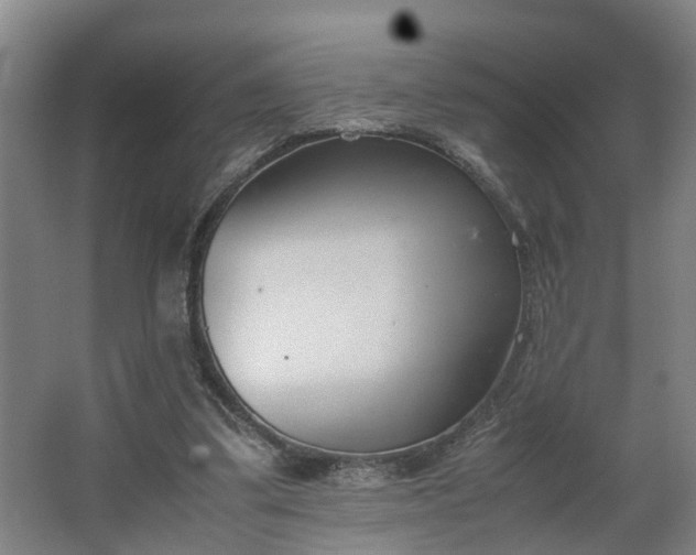 X0000062600299200512281405