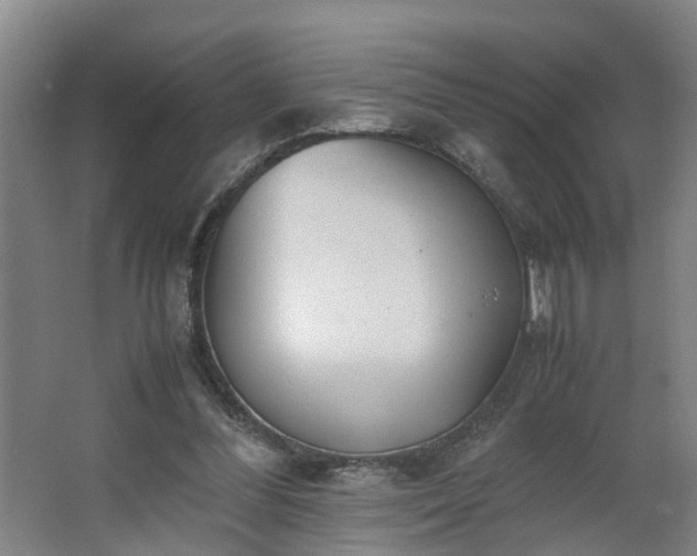 X0000062600300200512281405