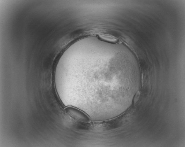 X0000062600301200512281405