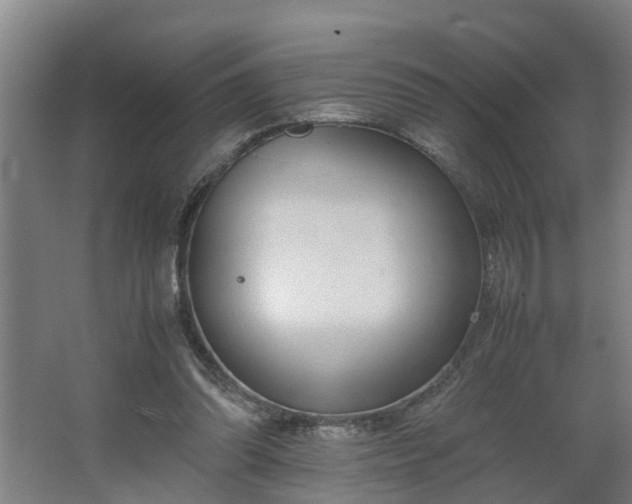 X0000062600302200512281405