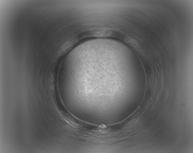 X0000062600303200512281405