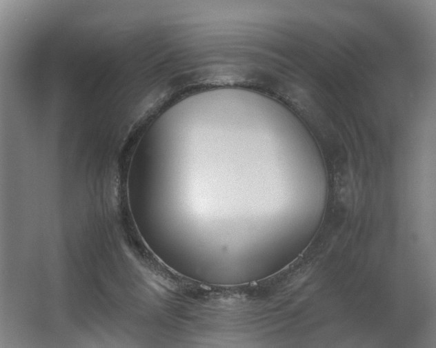 X0000062600304200512281405