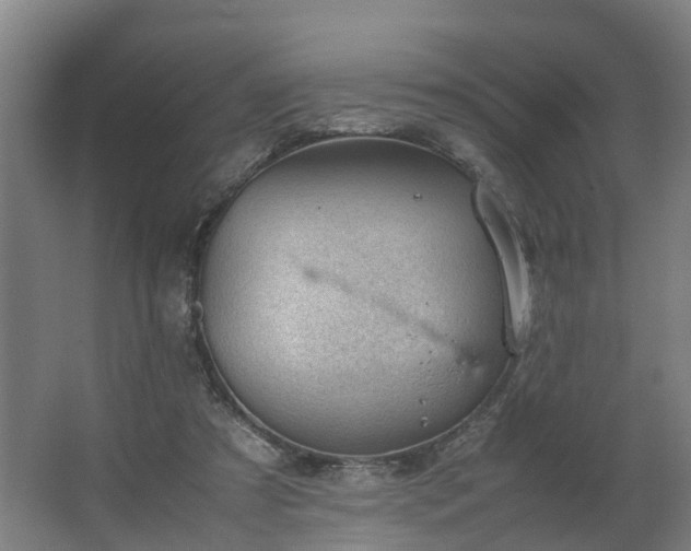 X0000062600305200512281405