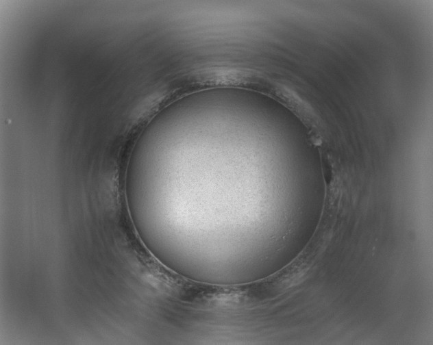 X0000062600306200512281405