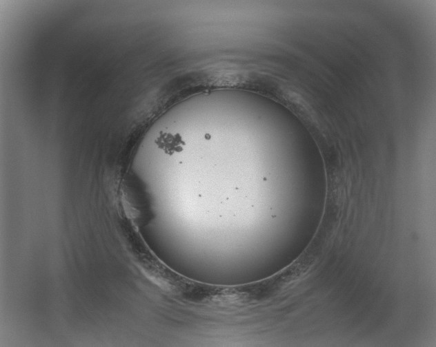 X0000062600307200512281405