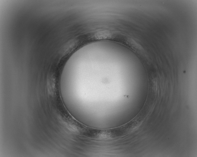 X0000062600308200512281405