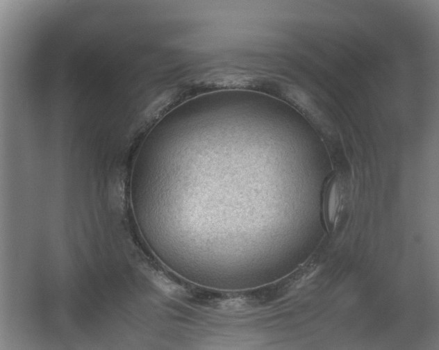 X0000062600309200512281405