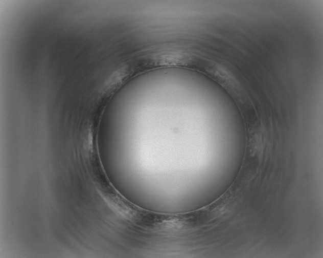 X0000062600310200512281405