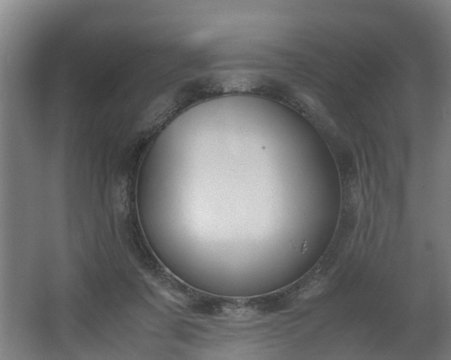 X0000062600311200512281405