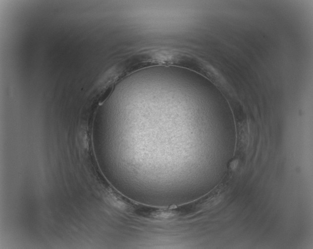 X0000062600313200512281405