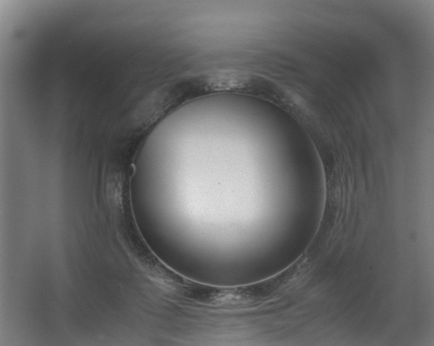 X0000062600315200512281405