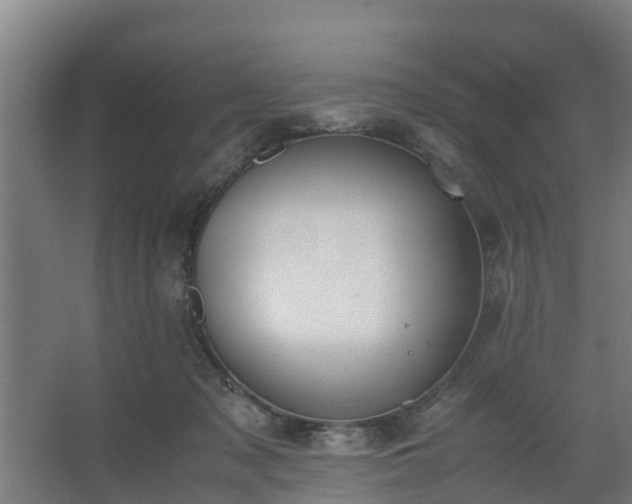 X0000062600317200512281405