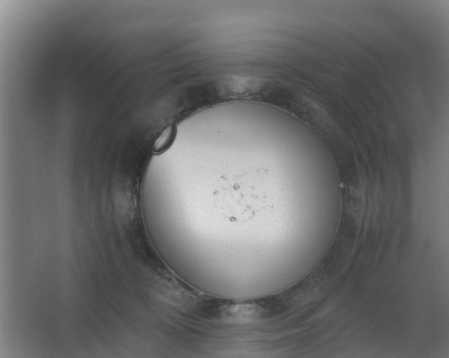 X0000062600324200512281405