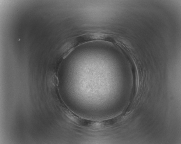 X0000062600325200512281405