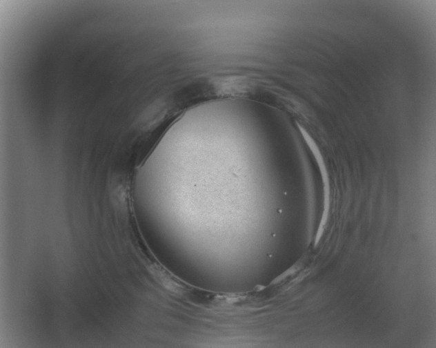 X0000062600329200512281405