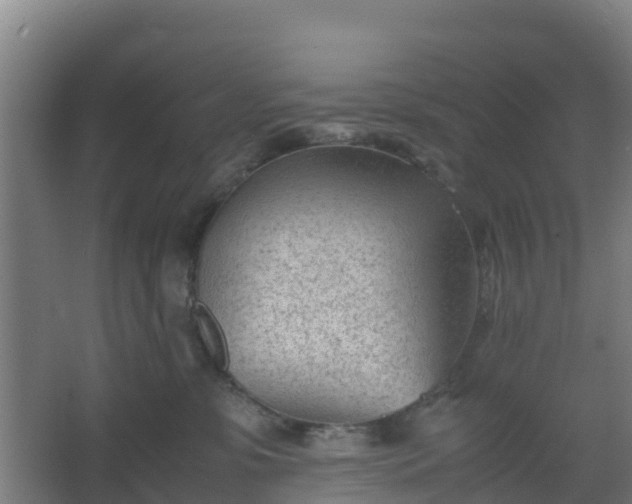 X0000062600331200512281405