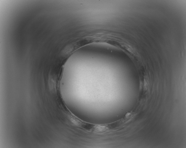 X0000062600333200512281405