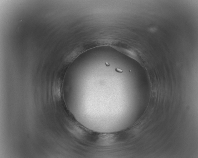 X0000062600334200512281405