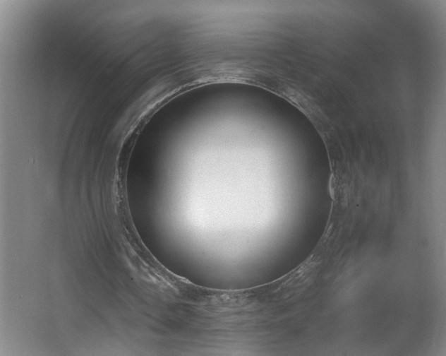 X0000062600338200512281404