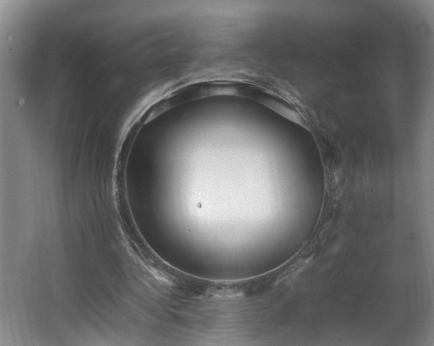 X0000062600340200512281404