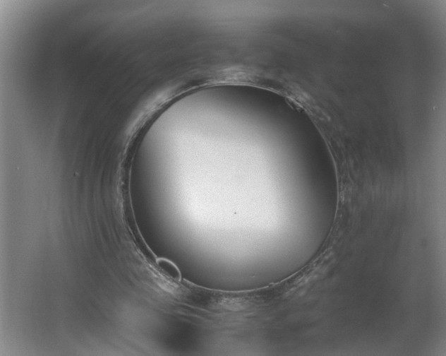 X0000062600341200512281404