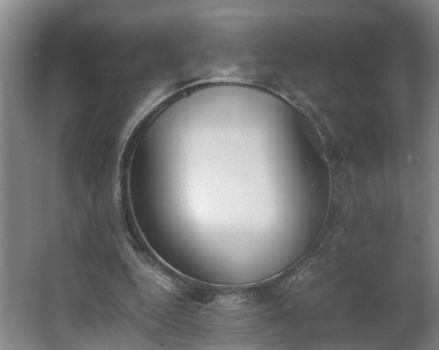 X0000062600344200512281404