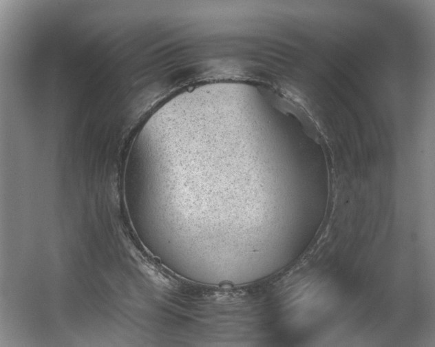 X0000062600345200512281404