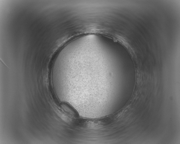 X0000062600346200512281404