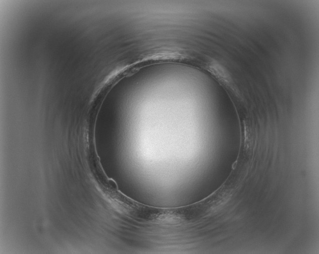 X0000062600348200512281404