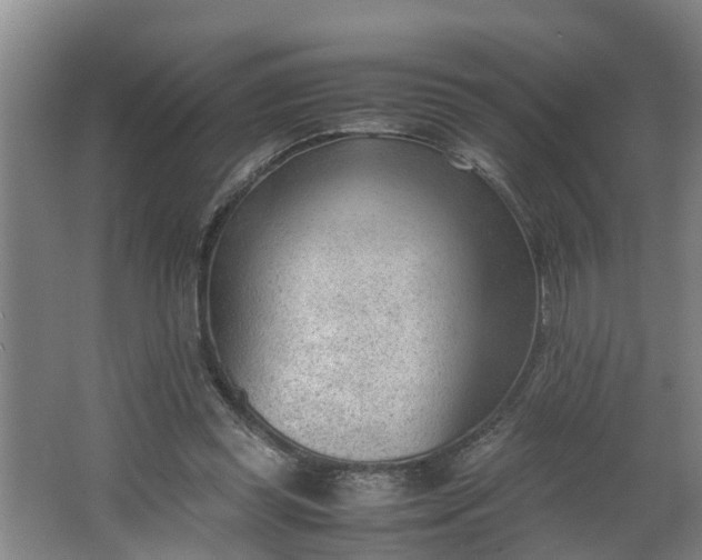 X0000062600349200512281404