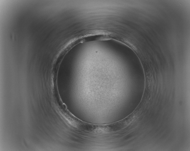 X0000062600350200512281404