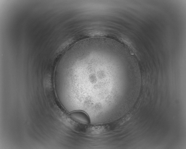 X0000062600353200512281404