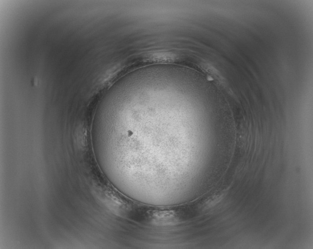 X0000062600355200512281404