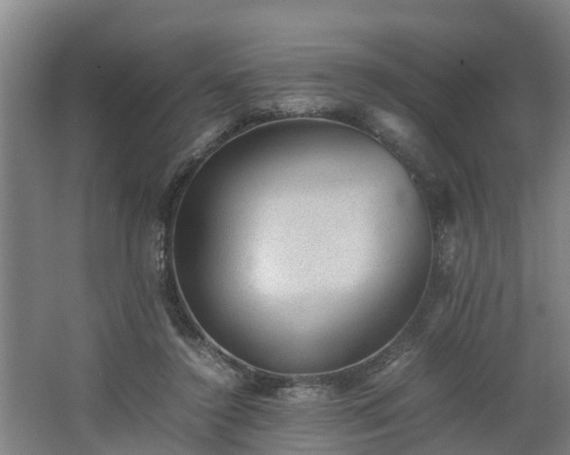 X0000062600356200512281404