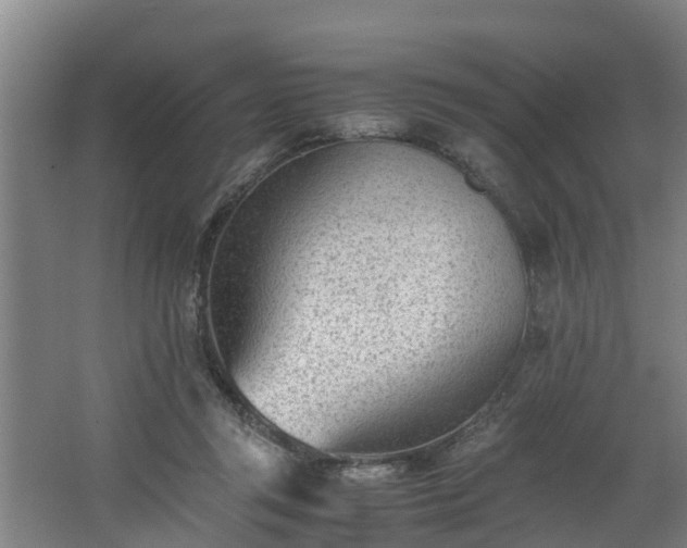 X0000062600357200512281404