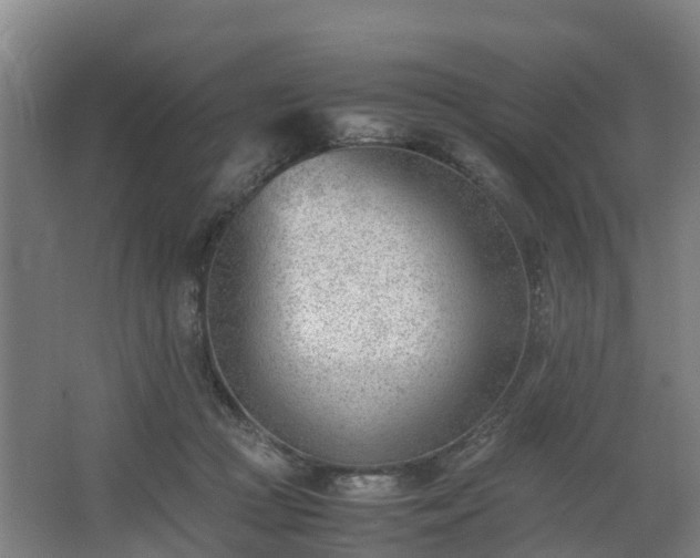 X0000062600361200512281404