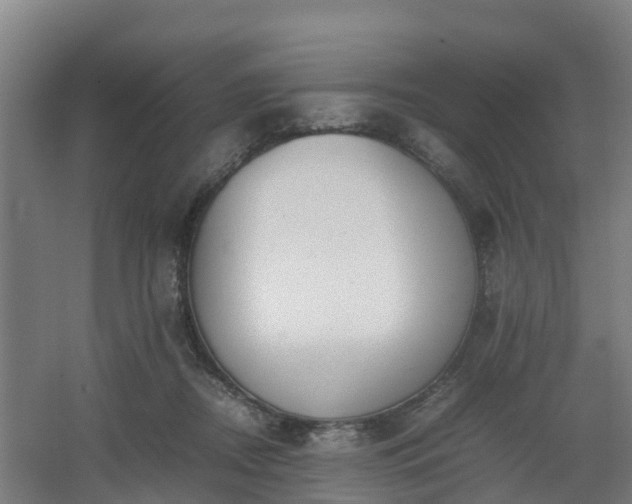 X0000062600362200512281404