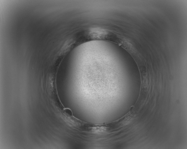 X0000062600363200512281404