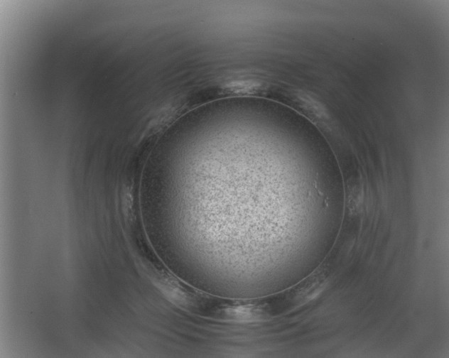 X0000062600365200512281404