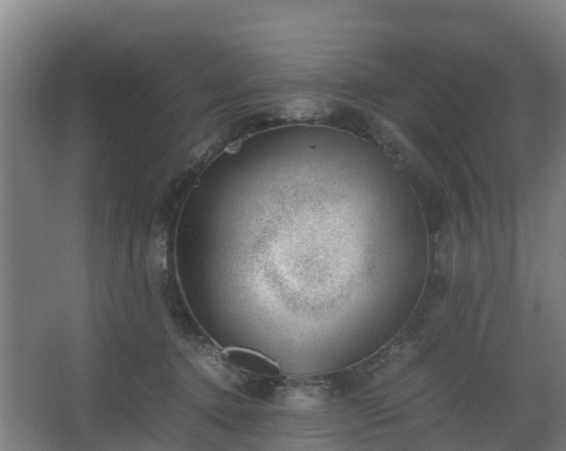 X0000062600368200512281404