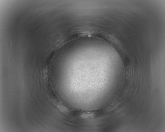 X0000062600369200512281404