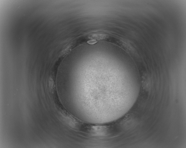 X0000062600371200512281404