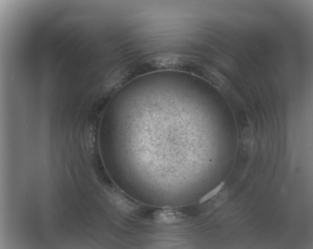 X0000062600372200512281404