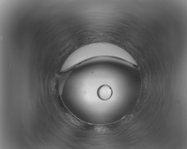 X0000062600376200512281404