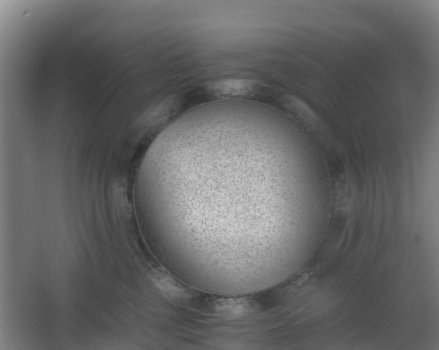 X0000062600377200512281404