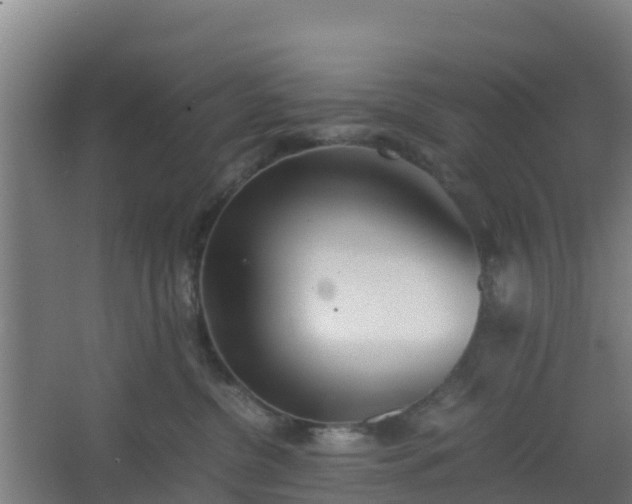 X0000062600380200512281405