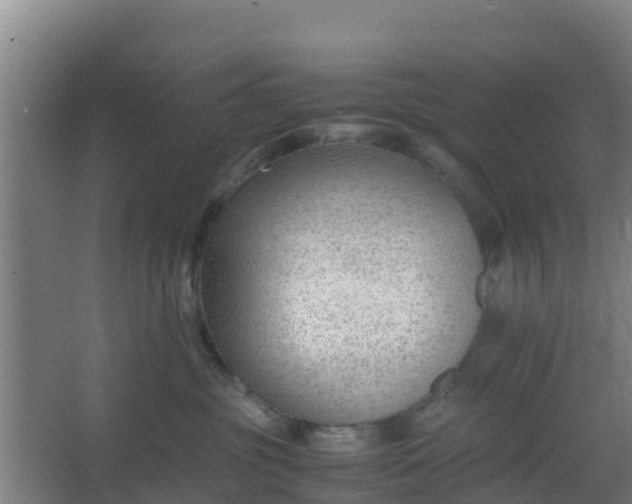 X0000062600381200512281405