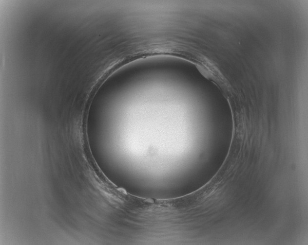 X0000062600386200512281404